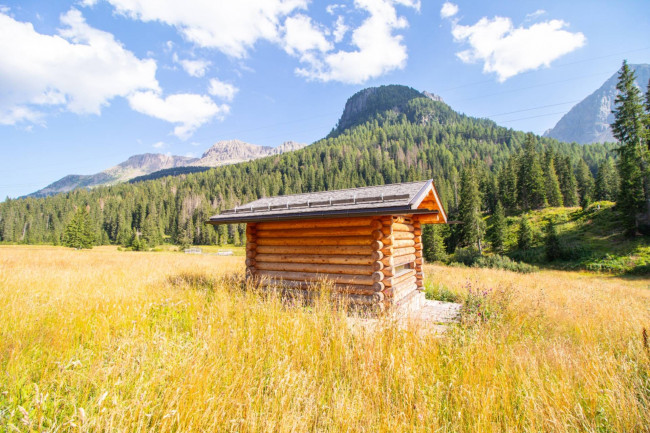 Rustico in vendita a Moena