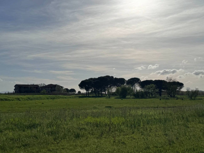 Casa indipendente in vendita a San Donato, Santa Maria A Monte (PI)