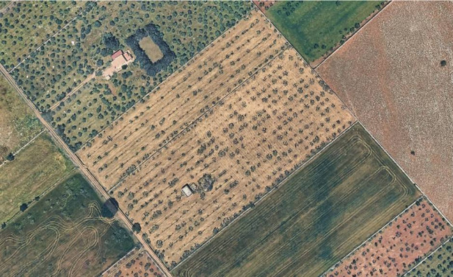 Terreno Agricolo