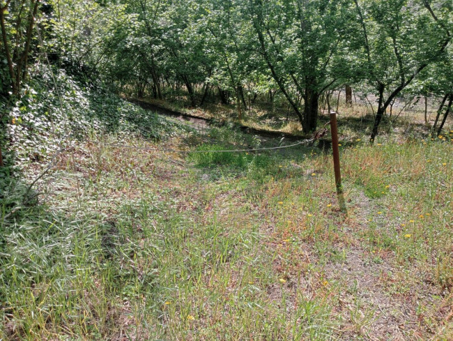 Terreno agricolo in vendita a Carbonara Di Nola (NA)