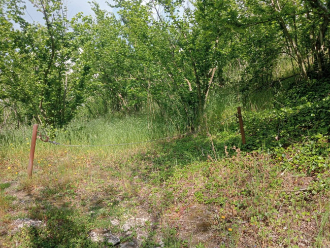 Terreno agricolo in vendita a Carbonara Di Nola (NA)