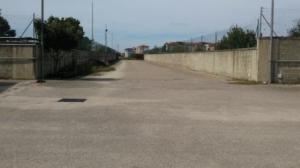 Capannone in Affitto a San Tammaro