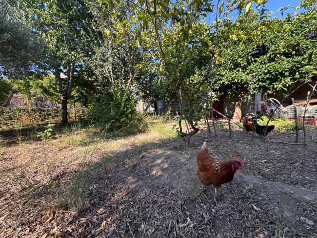 SEMI INDIPENDENTE in vendita a Vitulazio