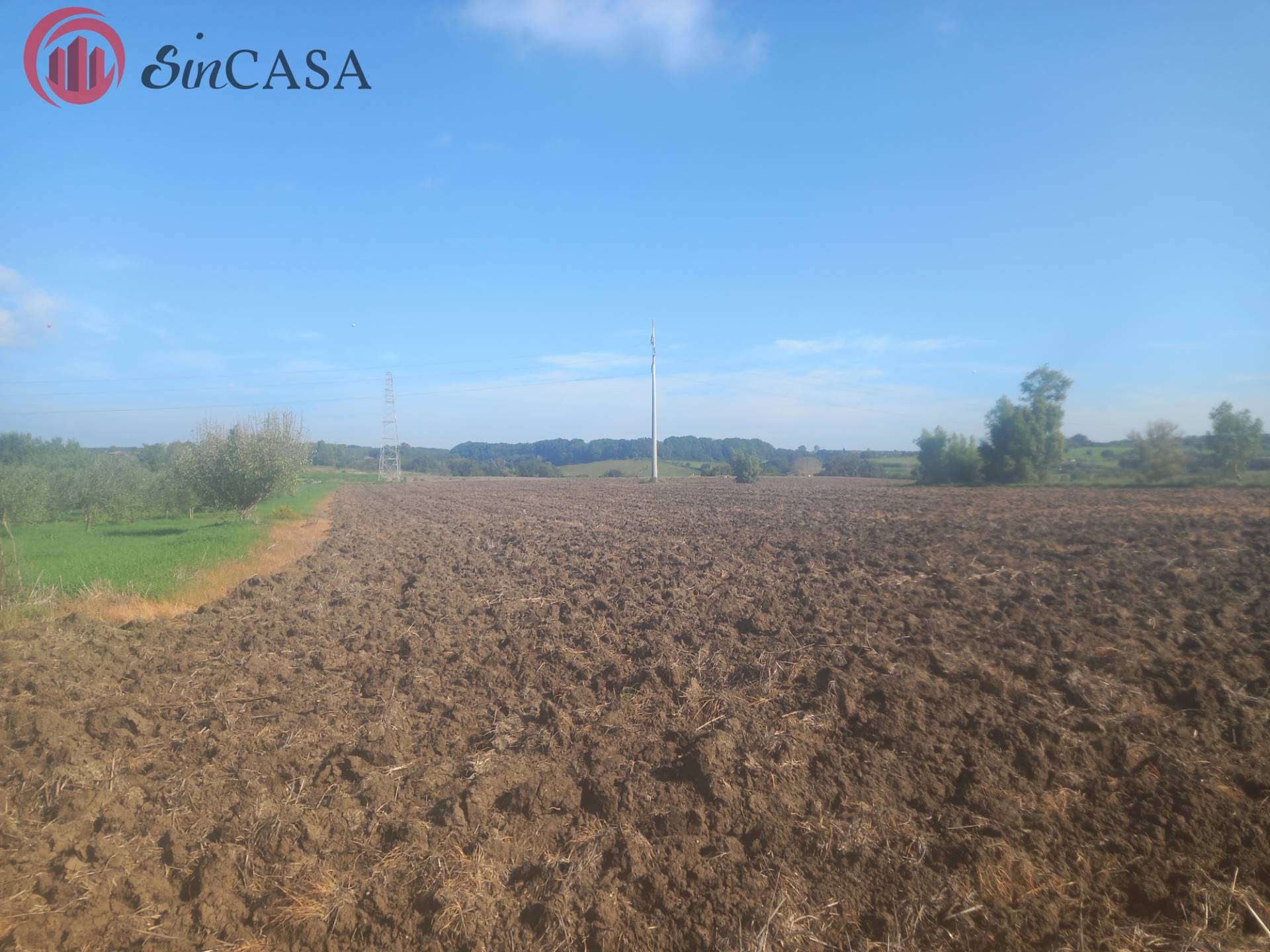 Terreno agricolo in vendita a Cerveteri (RM)