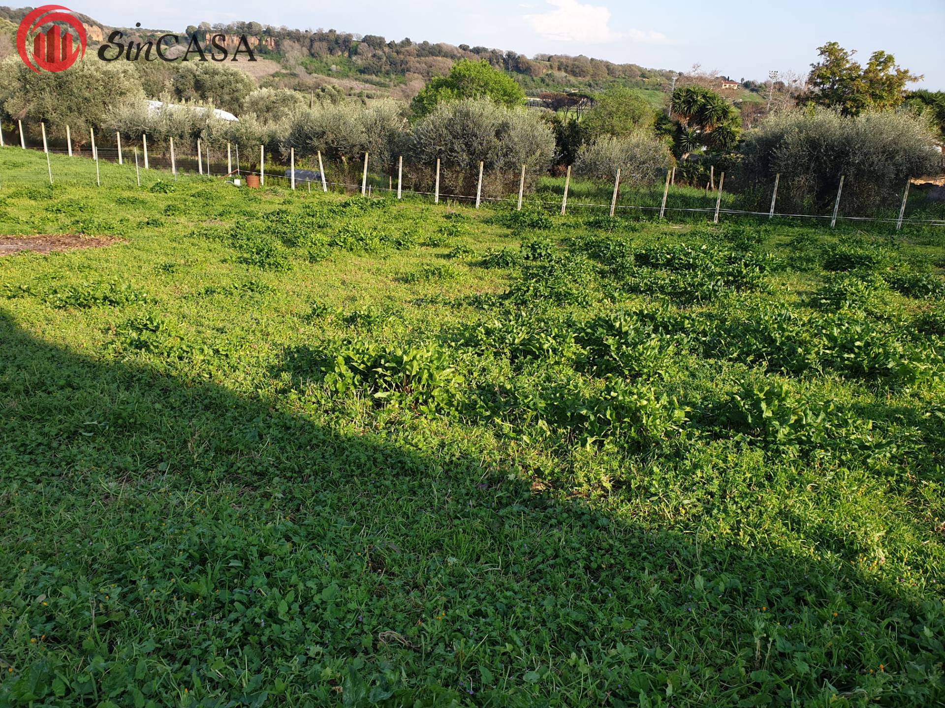 Terreno Agricolo in vendita a Cerveteri