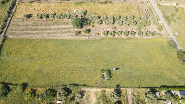 Rustico in vendita a Cerveteri