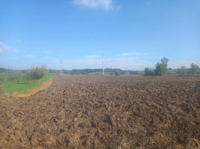 Terreno agricolo in vendita a Cerveteri (RM)