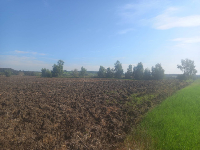 Terreno agricolo in vendita a Cerveteri (RM)