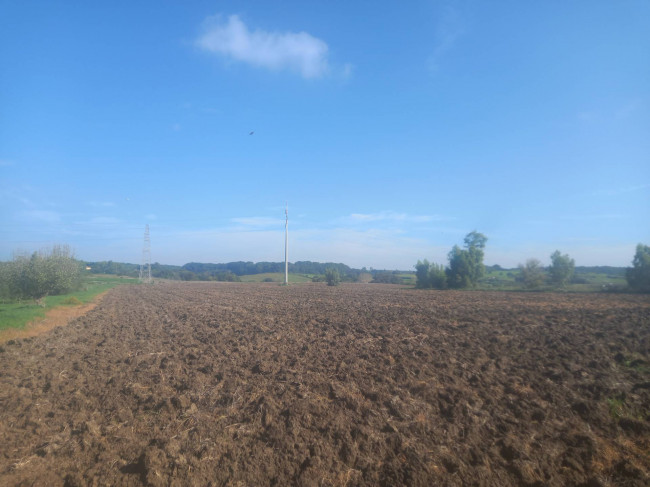 Terreno agricolo in vendita a Cerveteri (RM)