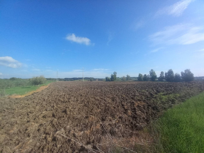 Terreno agricolo in vendita a Cerveteri (RM)