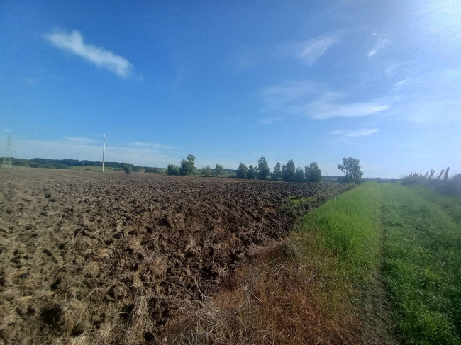 Terreno agricolo in vendita a Cerveteri (RM)