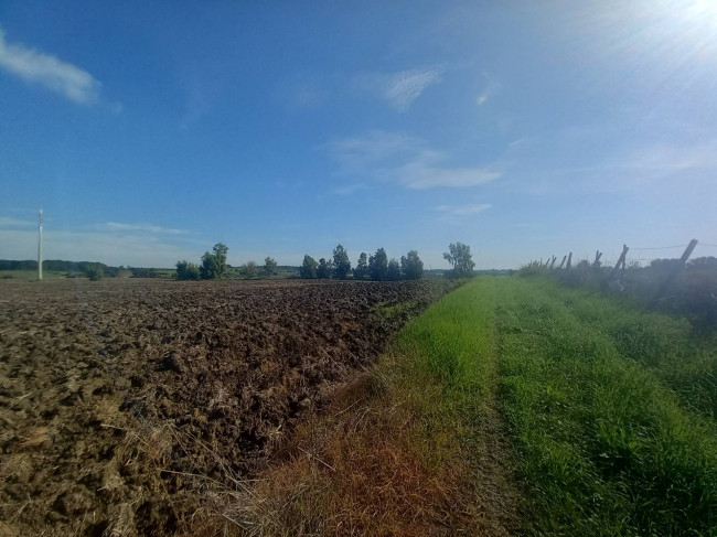 Terreno agricolo in vendita a Cerveteri (RM)