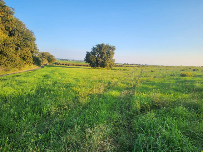 Terreno agricolo in vendita a Cerveteri (RM)