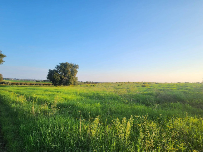 Terreno agricolo in vendita a Cerveteri (RM)