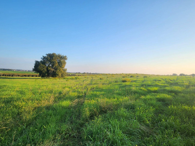 Terreno agricolo in vendita a Cerveteri (RM)