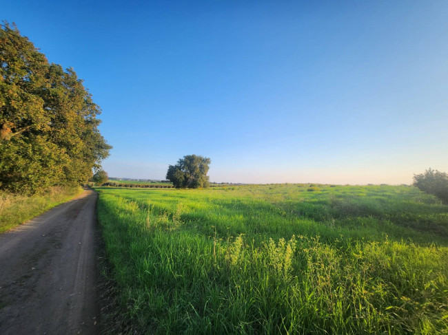 Terreno agricolo in vendita a Cerveteri (RM)