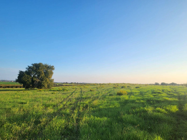 Terreno agricolo in vendita a Cerveteri (RM)