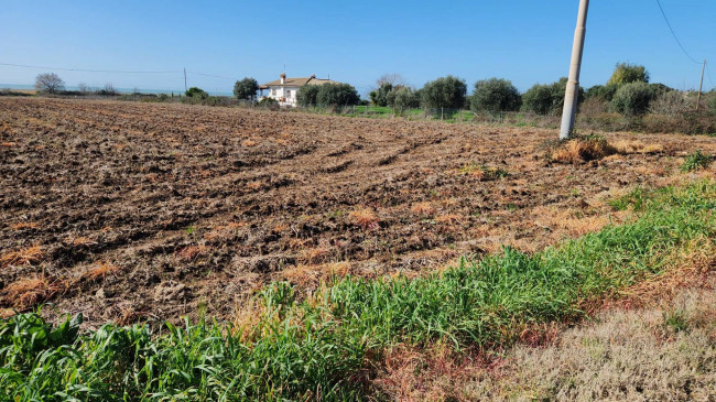 Terreno Agricolo in vendita a Cerveteri