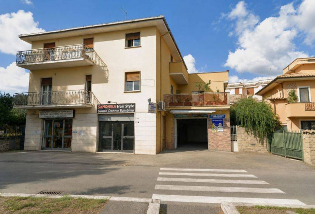 Attività commerciale in affitto a Fiumicino