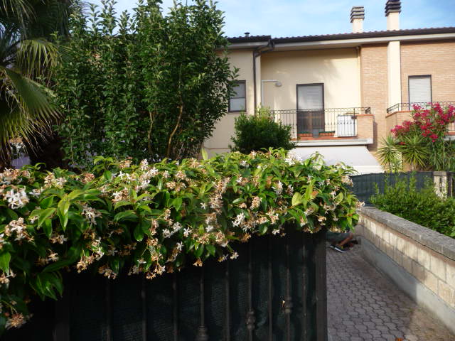 Villa SAN BENEDETTO DEL TRONTO vendita  Zona Fontana  My Home Immobiliare