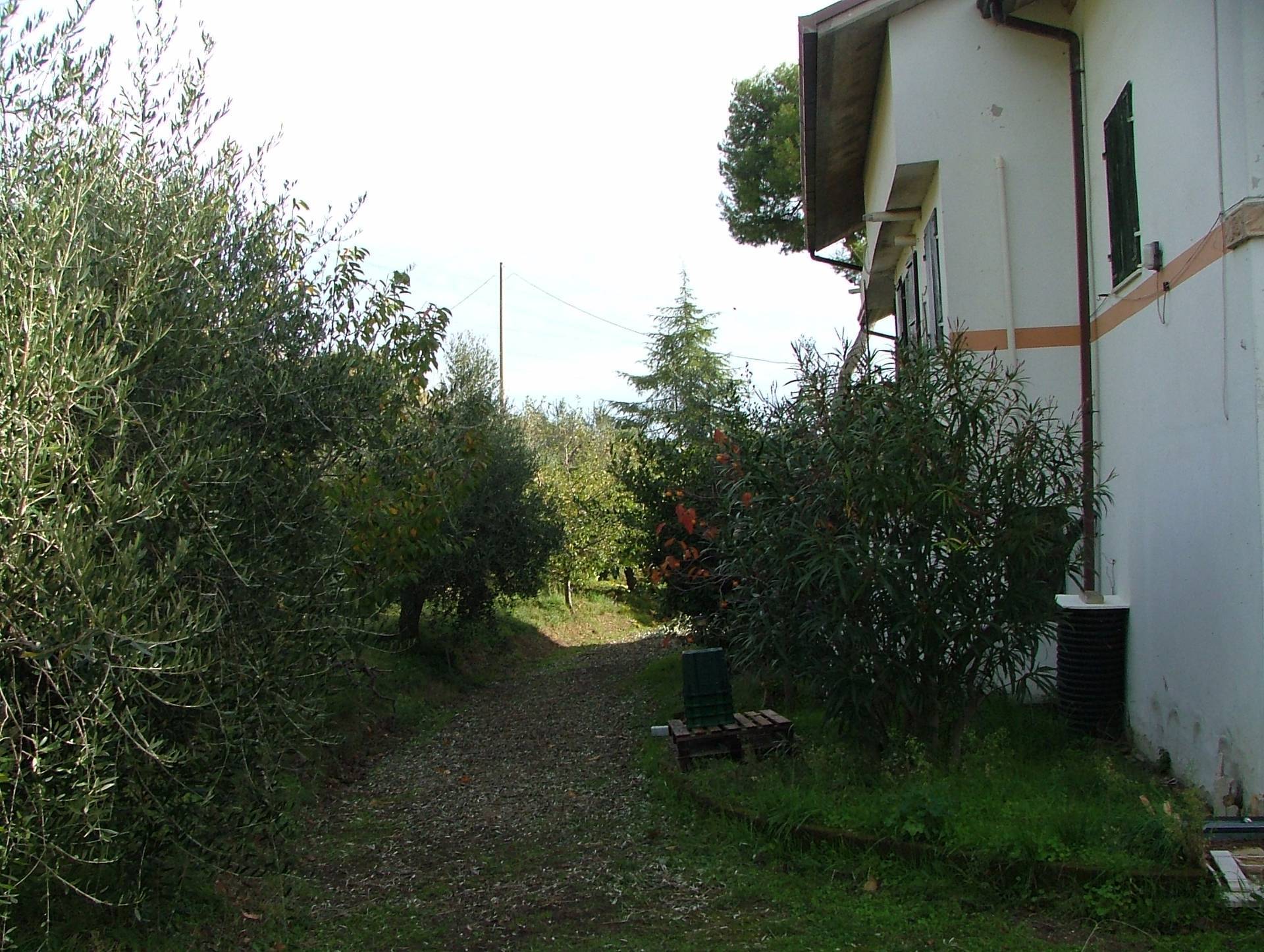 Rustico - Cascina GROTTAMMARE vendita  Residenziale  My Home Immobiliare