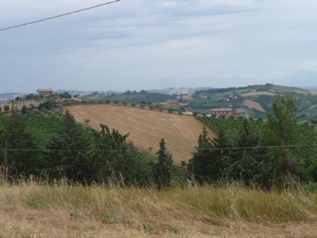 Rustico - Cascina MONSAMPOLO DEL TRONTO vendita    My Home Immobiliare