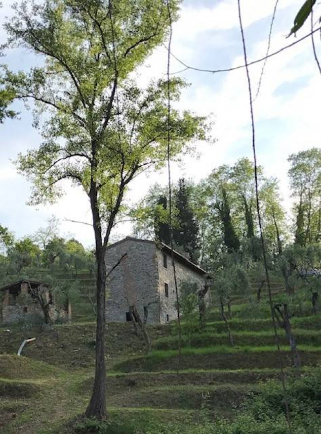 Villa Rustica in vendita a Massarosa