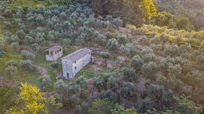 Villa Rustica in vendita a Massarosa