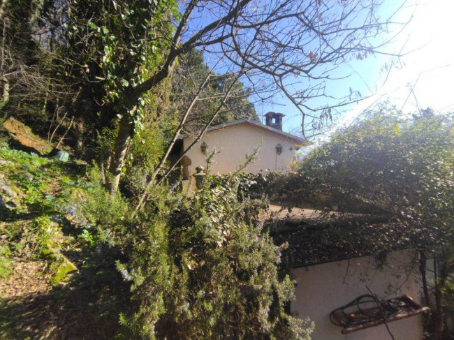 Villa Singola in vendita a Camaiore