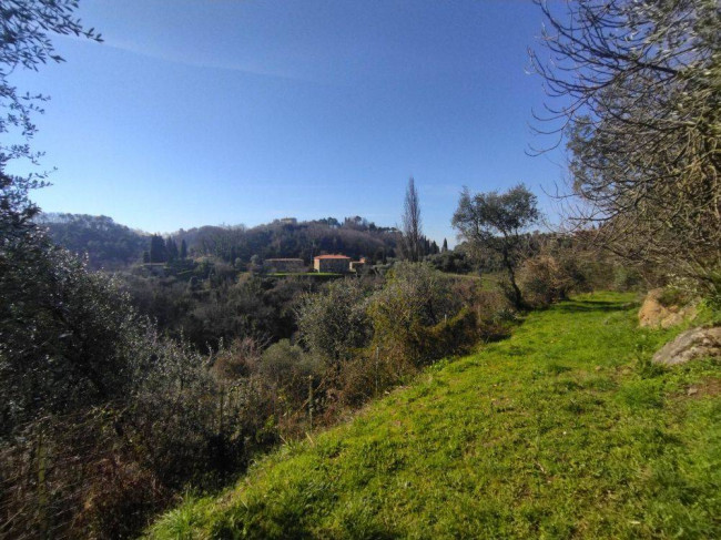 Villa Singola in vendita a Camaiore