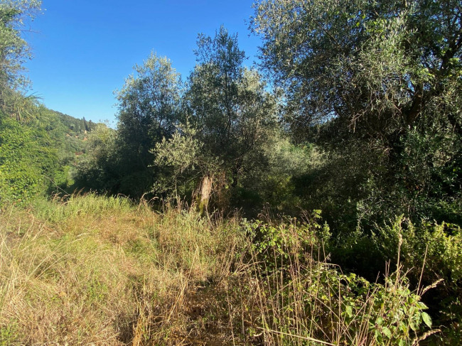 Proprietà rustica con terreno in vendita a Lucca