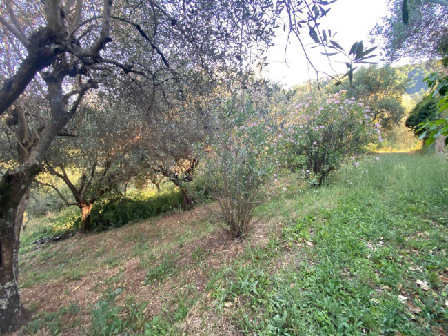 Proprietà rustica con terreno in vendita a Lucca