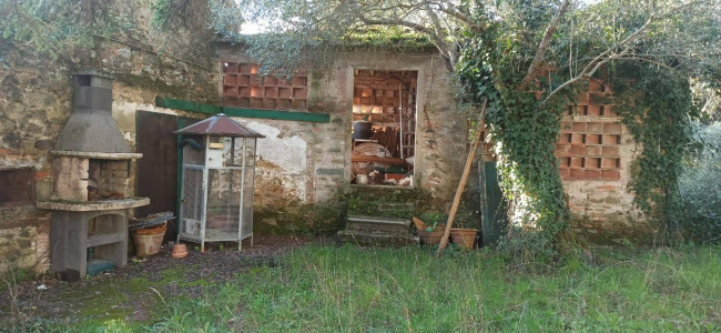 Proprietà rustica con terreno in vendita a Lucca