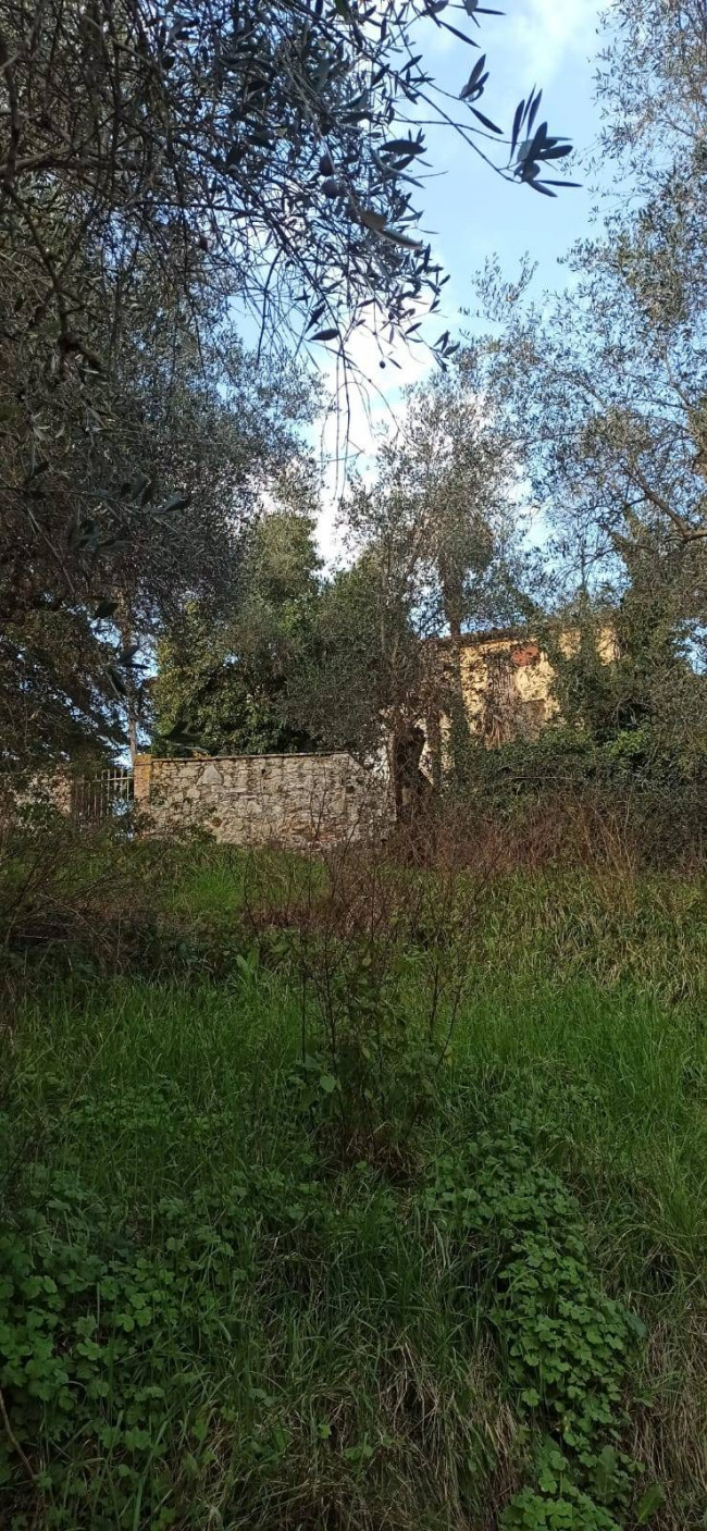 Proprietà rustica con terreno in vendita a Lucca