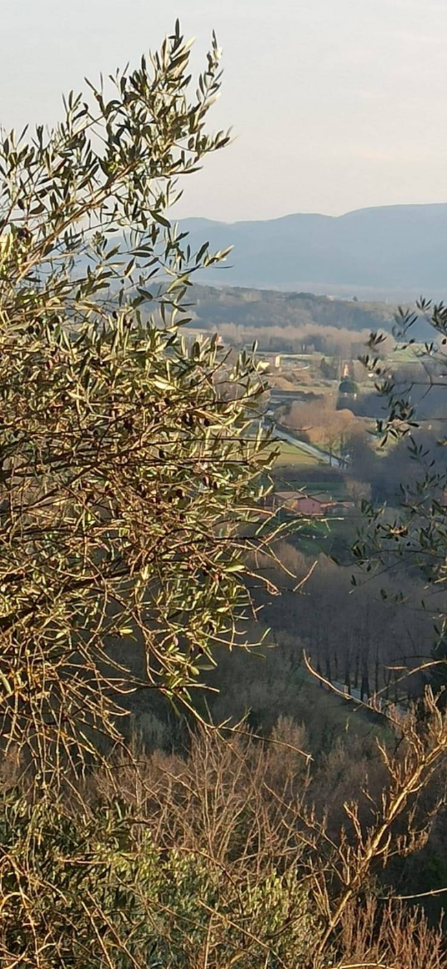 Proprietà rustica con terreno in vendita a Lucca