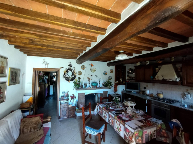 Casa indipendente in vendita a Camaiore