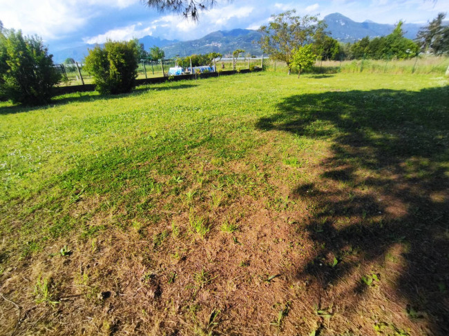 Villa Singola in vendita a Camaiore