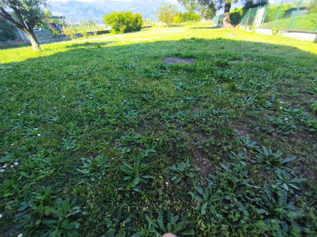 Villa Singola in vendita a Camaiore