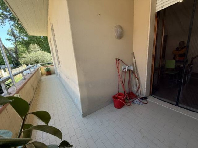 Appartamento piano terra in vendita a Viareggio