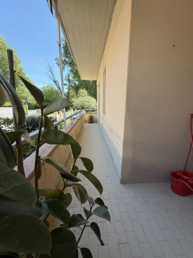 Appartamento piano terra in vendita a Viareggio