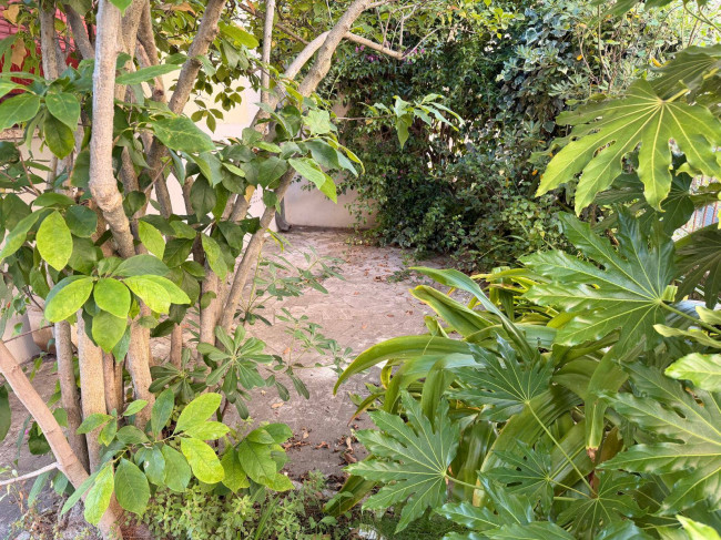 Appartamento piano terra in vendita a Viareggio