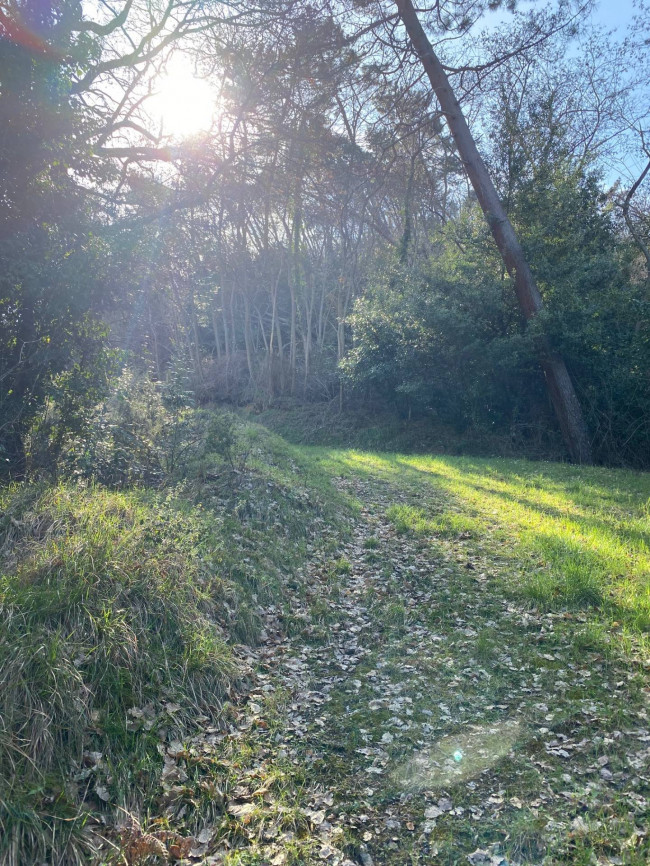 Proprietà rustica con terreno in vendita a Camaiore