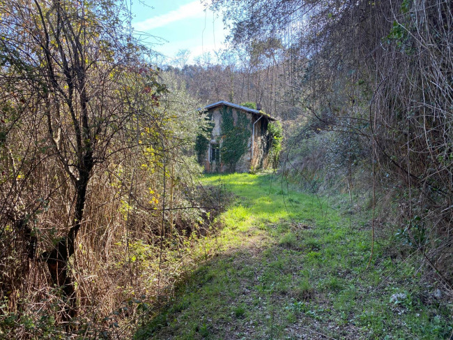 Proprietà rustica con terreno in vendita a Camaiore