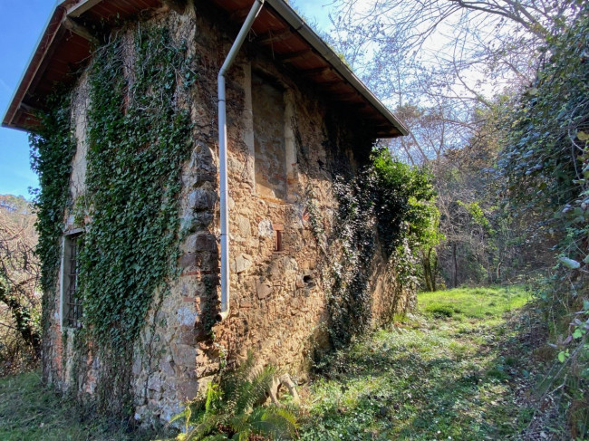 Proprietà rustica con terreno in vendita a Camaiore