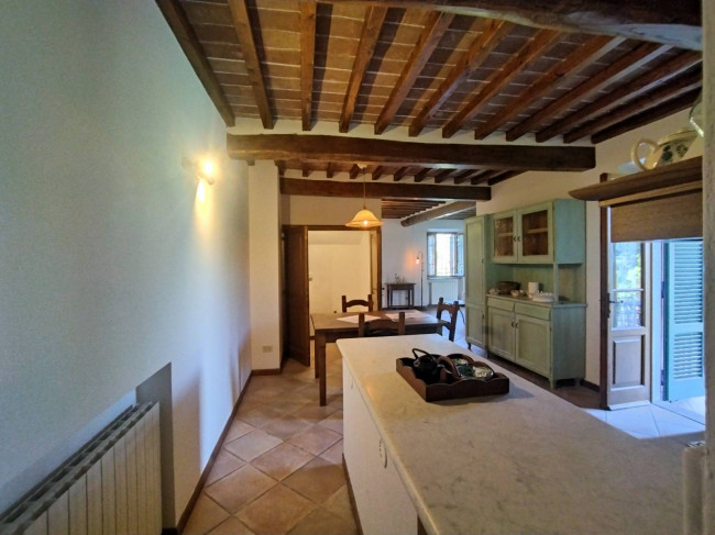 Proprietà rustica con terreno in vendita a Camaiore
