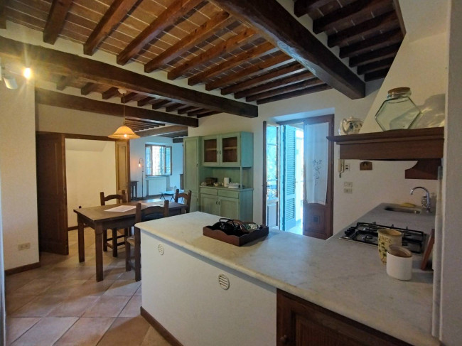 Proprietà rustica con terreno in vendita a Camaiore