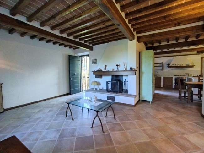 Proprietà rustica con terreno in vendita a Camaiore