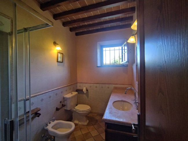 Proprietà rustica con terreno in vendita a Camaiore