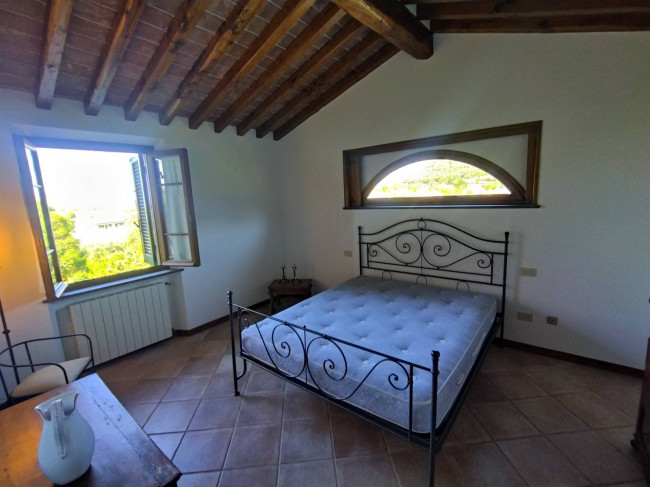 Proprietà rustica con terreno in vendita a Camaiore