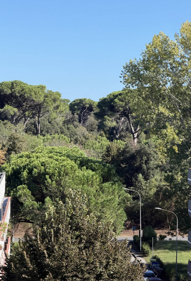Attico in vendita a Viareggio